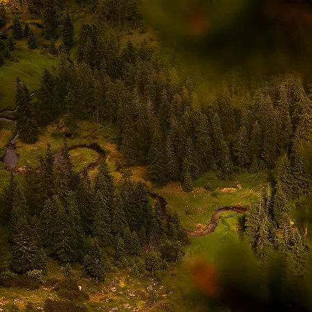 W Karkonoszach